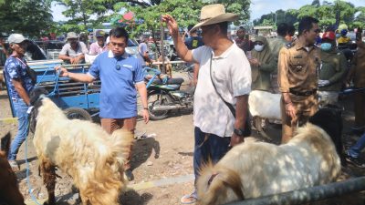 Sidak Jelang Idul Adha, Temukan Hewan Kurban Sakit di Pasar Dimoro Blitar