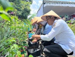 Dorong Ketahanan Pangan, DKPP Blitar Ajak Warga Manfaatkan Lahan Kosong di Pekarangan