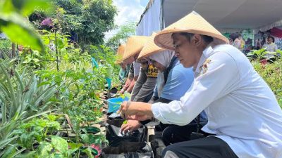 Dorong Ketahanan Pangan, DKPP Blitar Ajak Warga Manfaatkan Lahan Kosong di Pekarangan