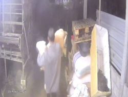 Teror Pencuri Hewan Ternak Kembali Hantui Cukir Jombang, Warga Rugi Jutaan