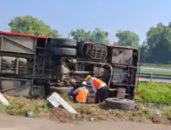 Kronologi Bus Pariwisata Terguling di KM 701 Tol Jomo, 36 Penumpang Dievakuasi!