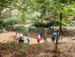 Hutan Lindung Rejoso, Nganjuk, Terancam Rusak Akibat Tambang dan Perubahan Fungsi Lahan, Ini Infonya