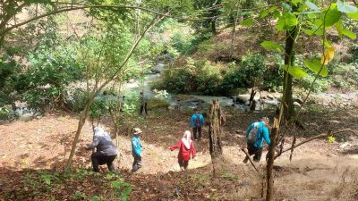Hutan Lindung Rejoso, Nganjuk, Terancam Rusak Akibat Tambang dan Perubahan Fungsi Lahan, Ini Infonya