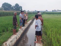 Tersambar Petir di Sawah, Pemuda Asal Jombang Tak Terselamatkan!