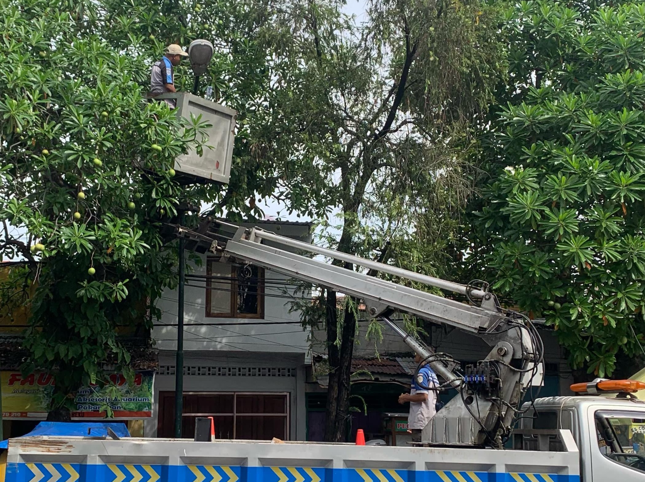 Ribuan Lampu PJU di Tulungagung Siap Diganti LED, Selamat Tinggal Lampu Boros!
