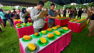 Nikmati Wisata Petik Buah Belimbing Segar dari Pohonnya, Silahkan Kunjungi Desa Karangsari, Blitar