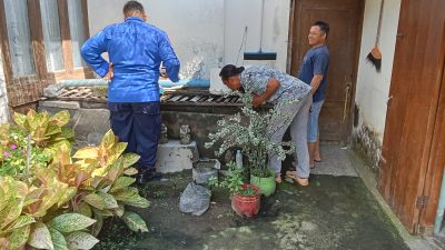 Buaya Peliharaan Warga Blitar Makin Membesar, Petugas Damkar Kesulitan Evakuasi