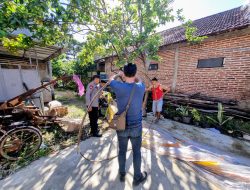 Balon Udara Raksasa Jatuh di Ponorogo, Polisi Temukan Api dan Petasan Aktif