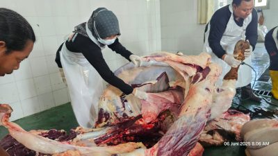 Tim DKPP Kediri Sisir Lokasi Kurban, Pastikan Daging Aman Konsumsi