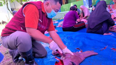 Daging Kurban Masjid Al Islah Jatirejo Nganjuk Lolos Pemeriksaan, Dinyatakan ASUH