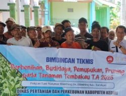 Dispertabun Kabupaten Kediri Gelar Bimtek dan Salurkan Bantuan Pupuk untuk Petani Tembakau di Blimbing