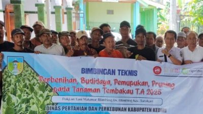 Dispertabun Kabupaten Kediri Gelar Bimtek dan Salurkan Bantuan Pupuk untuk Petani Tembakau di Blimbing