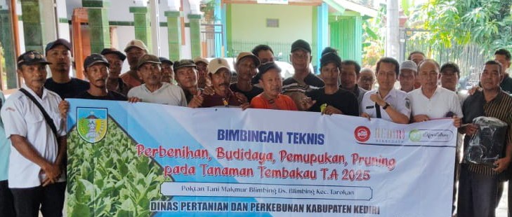 Dispertabun Kediri Gelar Bimtek dan Salurkan Bantuan Pupuk untuk Petani Tembakau di Blimbing