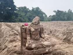 Heboh! Arca Ditemukan di Lahan Bekas Tebu di Gurah, Kabupaten Kediri