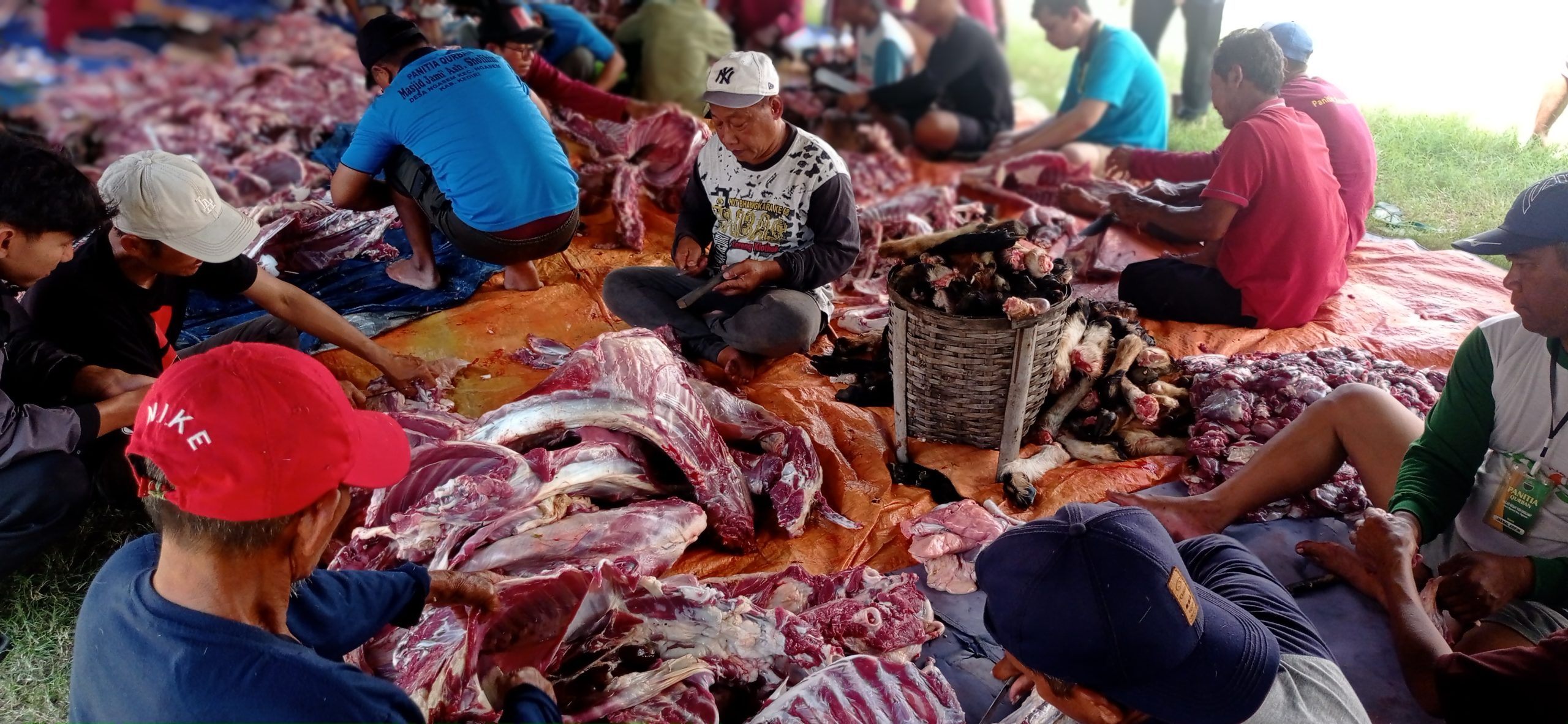 Pastikan Kesehatan Hewan, Masjid Ash Sholihin Ngasem Sembelih 6 Sapi dan 58 Kambing pada Idul Adha 1446 H