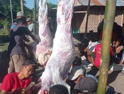 Jamaah Mushola Al Halim Jemekan Sembelih Hewan Kurban, Perkuat Silaturahmi Warga