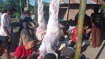 Jamaah Mushola Al Halim Jemekan Sembelih Hewan Kurban, Perkuat Silaturahmi Warga