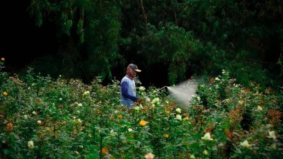 Desa Tulungrejo Menembus Asia Tenggara, Sukses Integrasi dan Keberlanjutan Wisata