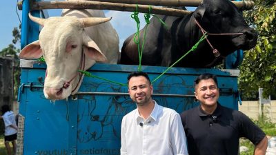 Diborong Raffi Ahmad! Irfan Hakim Cuan Besar dari Sapi Kurban Premium