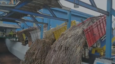 Perluas Produksi, PT RMI Siapkan 8 Hektar Lahan untuk Pabrik Gilingan Tebu Baru