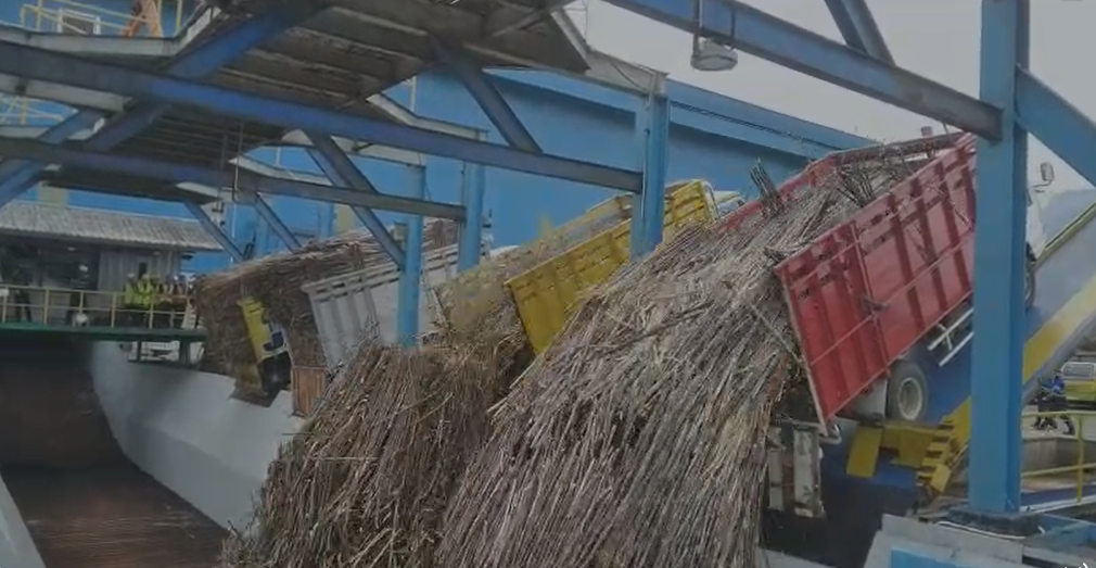 Perluas Produksi, PT RMI Siapkan 8 Hektar Lahan untuk Pabrik Gilingan Tebu Baru