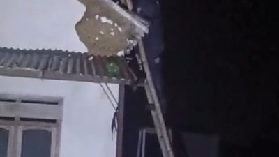 Tim LPBI NU Kabupaten Kediri Evakuasi Sarang Tawon Vespa Raksasa di Tulungagung