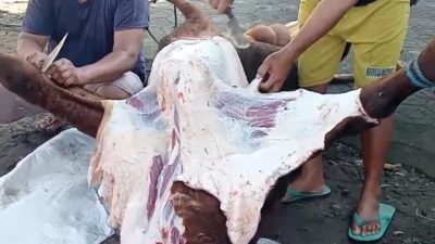 Jamaah Masjid Khalimatus Hakim Salurkan Daging Kurban ke Warga Kurang Mampu