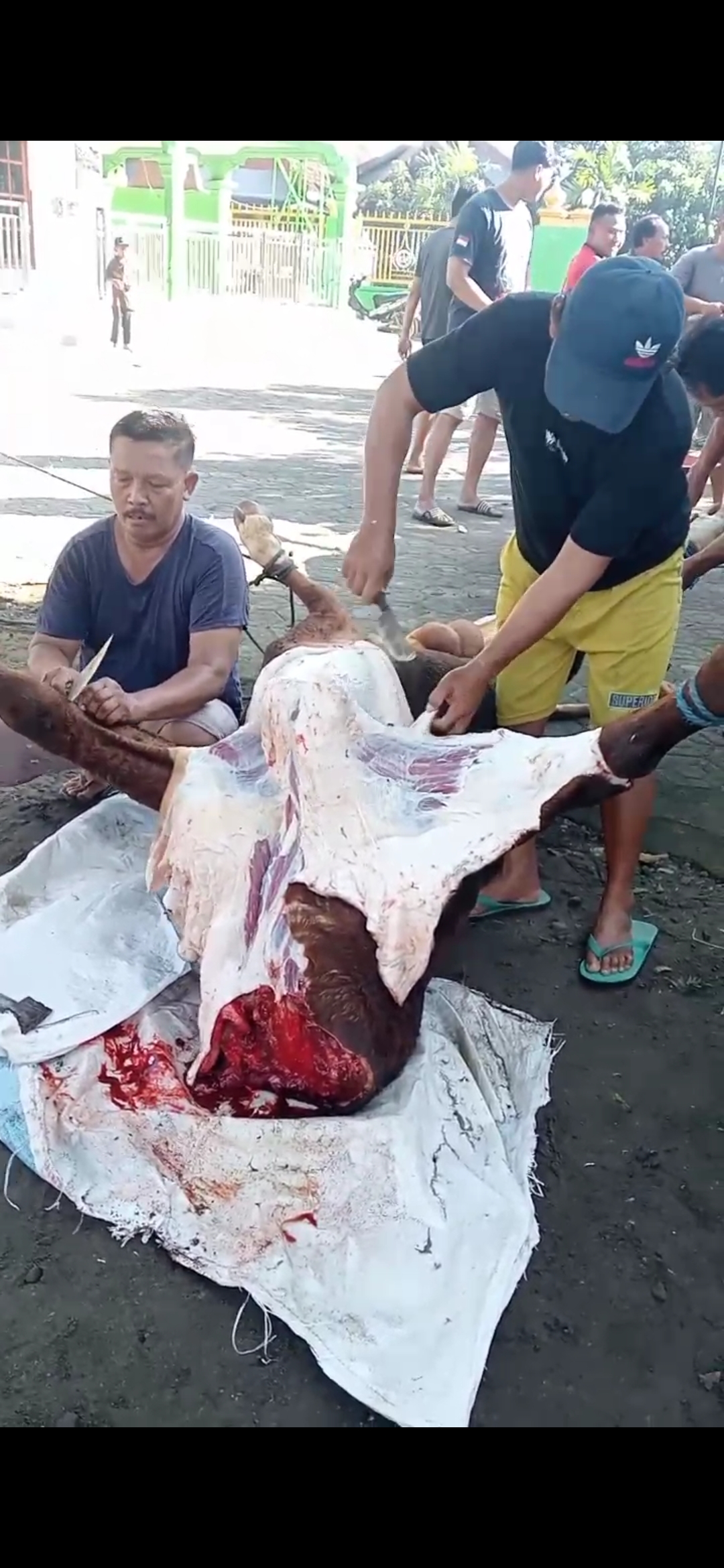 Jamaah Masjid Khalimatus Hakim Salurkan Daging Kurban ke Warga Kurang Mampu