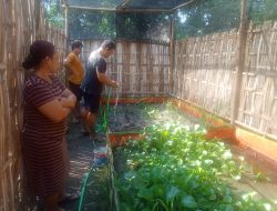 Ardi Gagas, Pelaku Budidaya Belut di Desa Jabon, Kabupaten Kediri, Siap Dorong Inovasi Kuliner Lokal