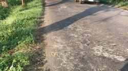 Bangkai Ayam Berserakan di Jalanan Nganjuk, CCTV Rekam Muatan Diduga Jatuh dari Mobil