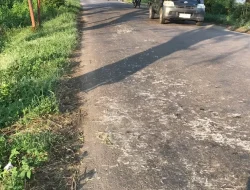 Bangkai Ayam Berserakan di Jalanan Nganjuk, CCTV Rekam Muatan Diduga Jatuh dari Mobil