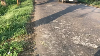 Bangkai Ayam Berserakan di Jalanan Nganjuk, CCTV Rekam Muatan Diduga Jatuh dari Mobil