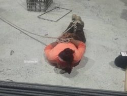 Iran Tangkap 28 Agen Diduga Terlibat dengan Intelijen Israel, Bawa Bahan Peledak dan Drone