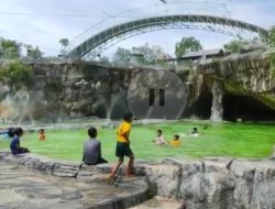 Liburan Seru di Lamongan, Ini 6 Kolam Renang Favorit dengan Fasilitas Unik dan Harga Terjangkau
