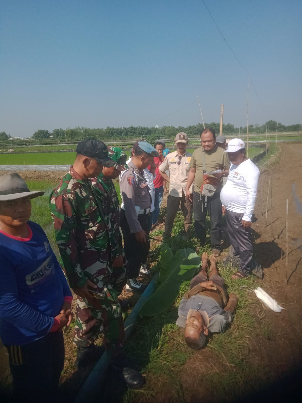 Petani Lansia Tewas Tersengat Jebakan Tikus Listrik di Sawah Anaknya
