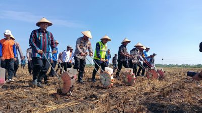 Polres Lamongan Tanam Jagung di Kedali, Dukung Program Ketahanan Pangan Nasional