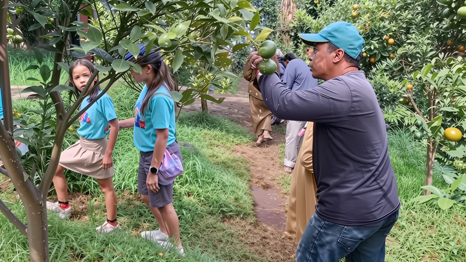 Petik Buah Langsung dari Kebun, Wisata Favorit Keluarga di Kota Batu