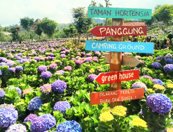 Dusun Kuliner Surga Makan Bernuansa Desa di Kota Batu