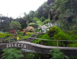 Indahnya Bukit Lumut, Spot Baru Selecta yang Instagramable dan Sarat Sejarah