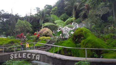 Indahnya Bukit Lumut, Spot Baru Selecta yang Instagramable dan Sarat Sejarah