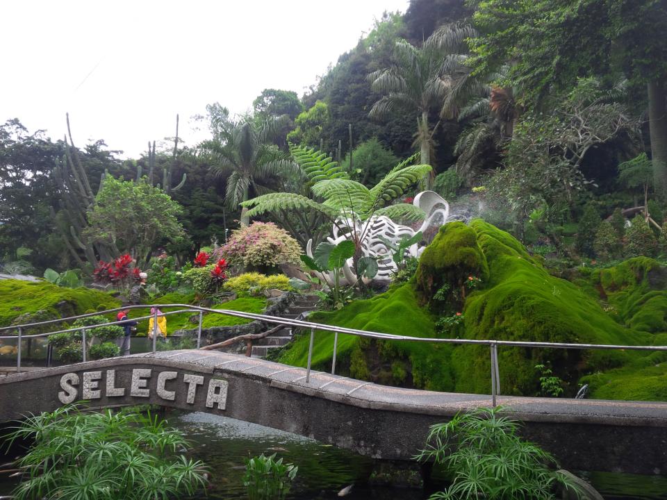 Indahnya Bukit Lumut, Spot Baru Selecta yang Instagramable dan Sarat Sejarah