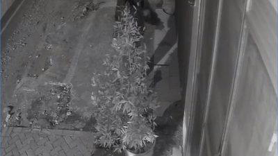 Aksi Pencurian Lampu Depan Kios di Kota Batu Terekam CCTV, Pelaku Kabur dalam Hitungan Detik