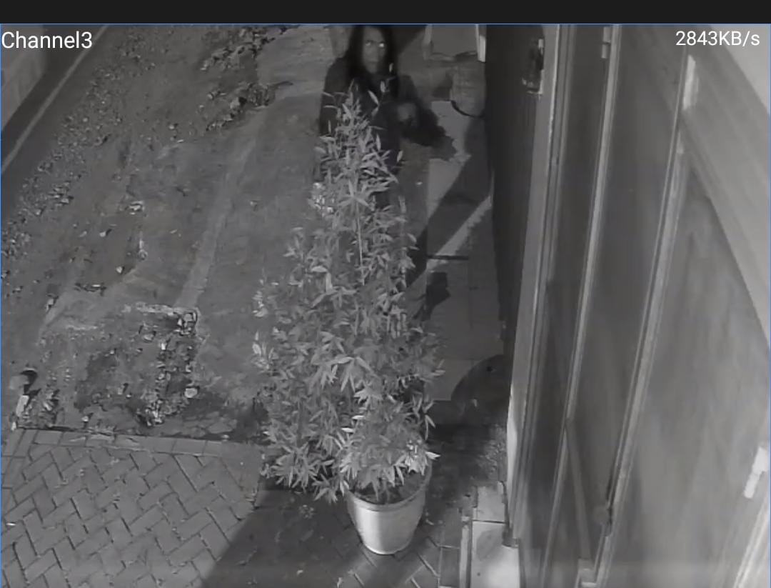 Aksi Pencurian Lampu Depan Kios di Kota Batu Terekam CCTV, Pelaku Kabur dalam Hitungan Detik