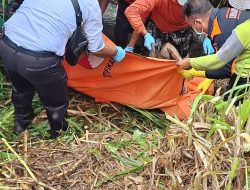 Warga Kotes, Gandusari, Balitar Tidak Pulang 10 Hari, Ditemukan Sudah Meninggal Dunia di Persawahan, Kondisi Mengenaskan