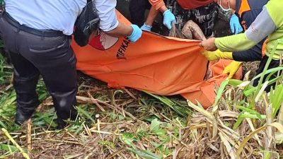 Warga Kotes, Gandusari, Balitar Tidak Pulang 10 Hari, Ditemukan Sudah Meninggal Dunia di Persawahan, Kondisi Mengenaskan