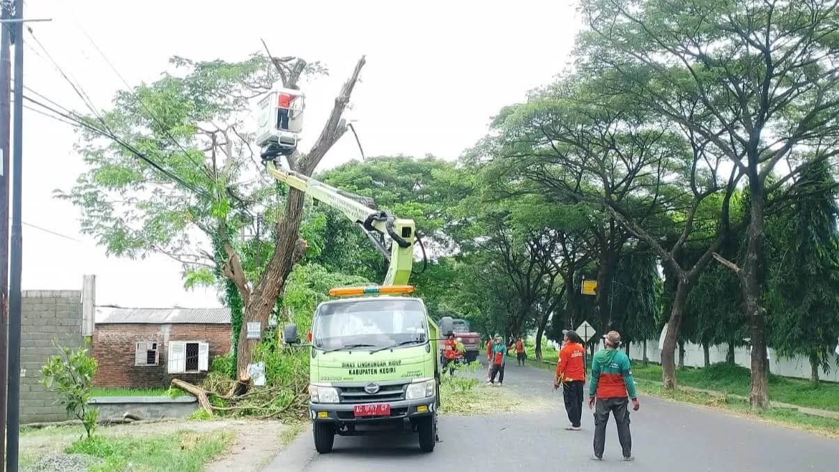 Antisipasi Cuaca Ekstrem, DLH Kabupaten Kediri Gencarkan Patroli dan Pangkas Ranting Pohon