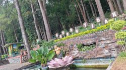 Menyusuri Gunung Tidar, Napas Spiritual di Jantung Pulau Jawa