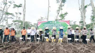Polres Jombang Tanam Jagung Serentak Dukung Swasembada Pangan 2025