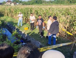 Pria Lansia Ditemukan Tewas di Parit Persawahan, Diduga Alami Kecelakaan Tunggal