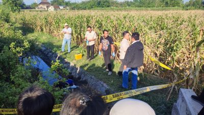 Pria Lansia Ditemukan Tewas di Parit Persawahan, Diduga Alami Kecelakaan Tunggal